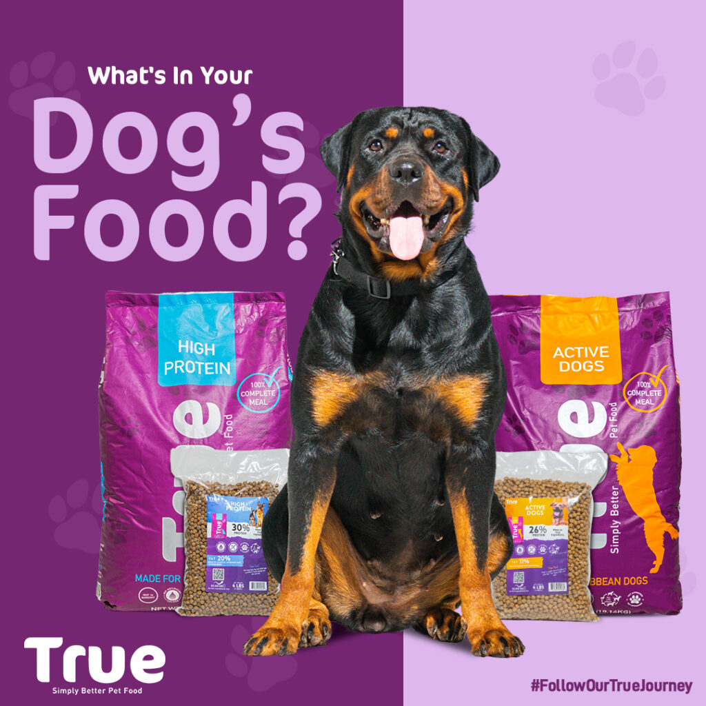 What's-In-Your-Dogs-Food-(1080x1080)-updated